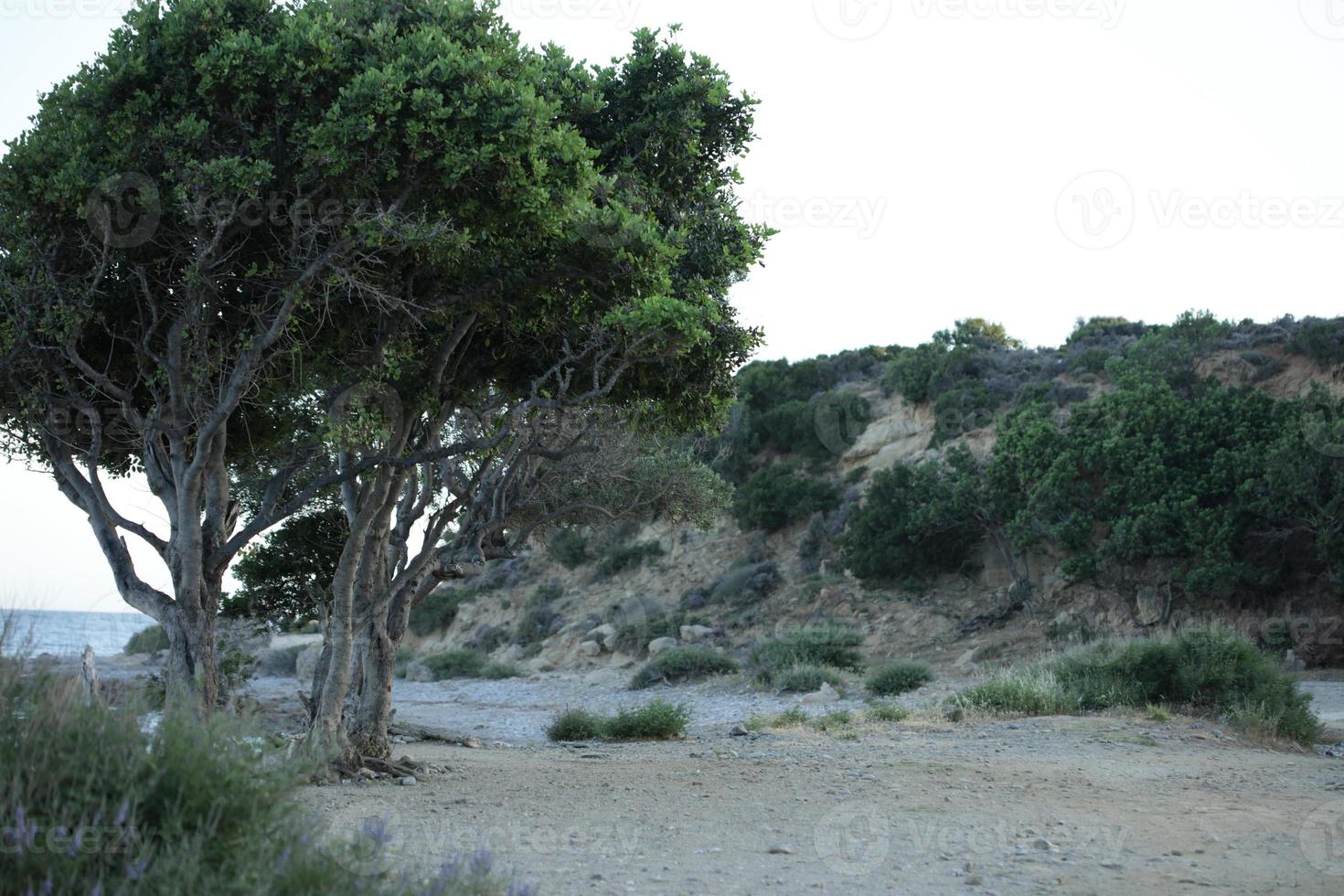 plage de peristeres rodakino île de crète zone de camping gratuite covid-19 photo