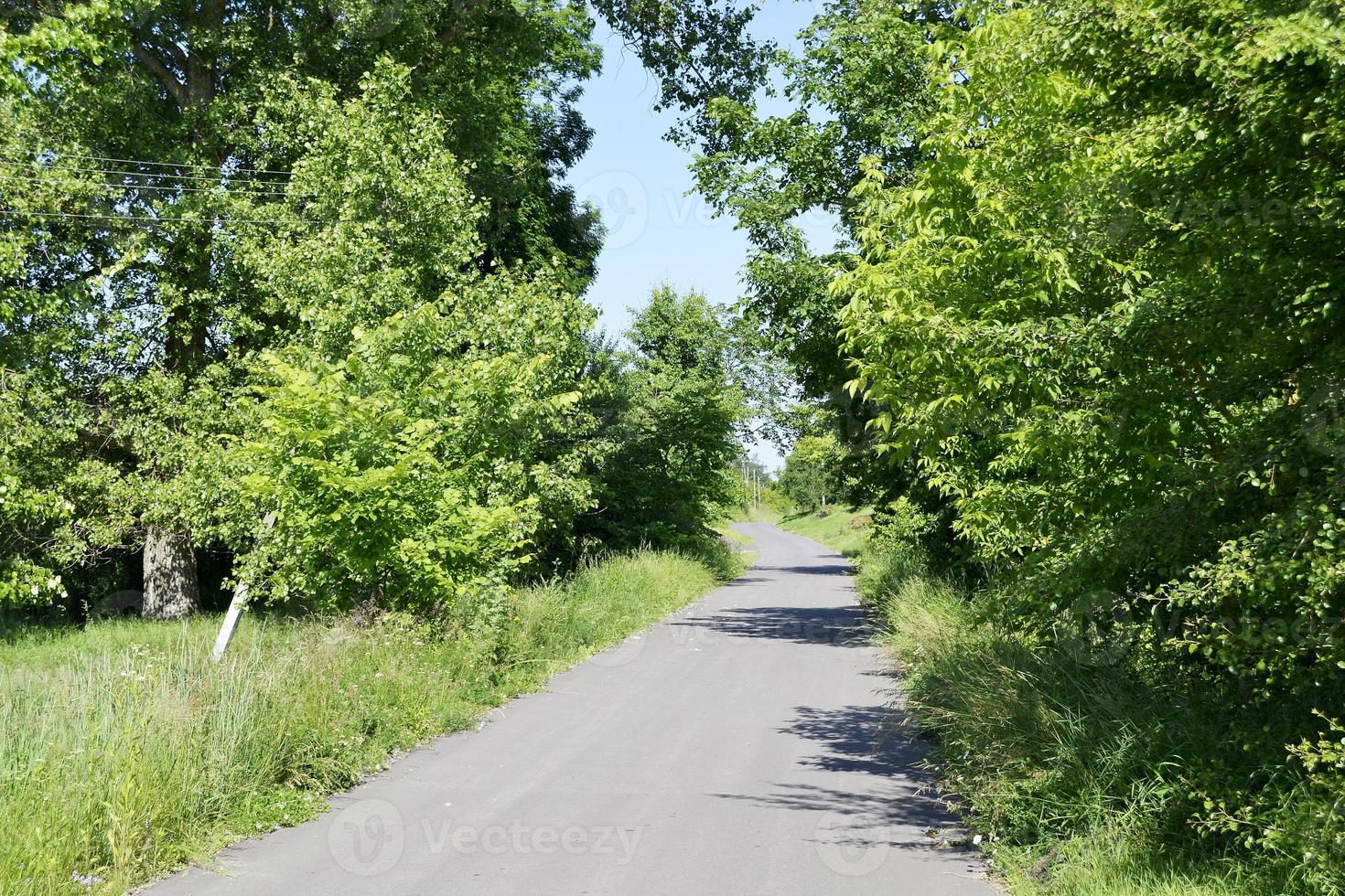 belle route goudronnée vide en campagne sur fond coloré photo