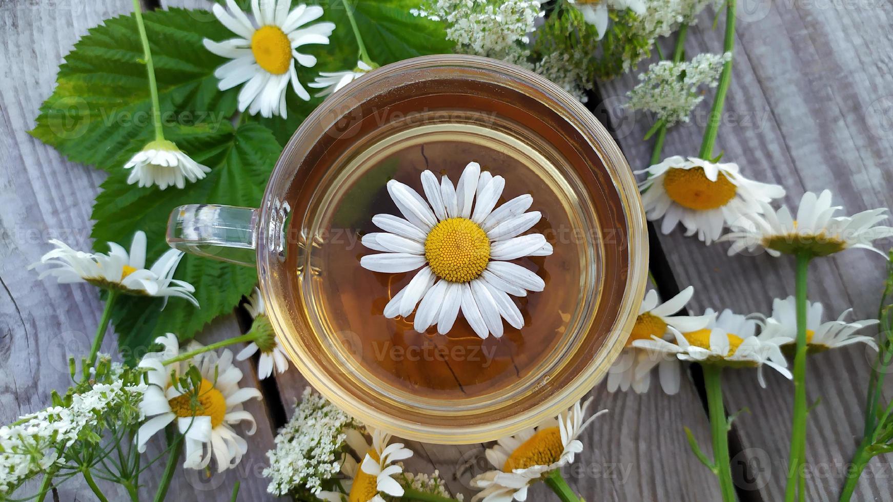 thé à la camomille dans une tasse en verre photo