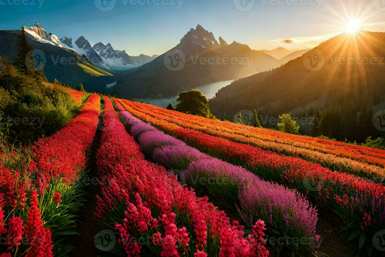 le Soleil brille plus de une champ de fleurs dans le montagnes. généré par ai photo