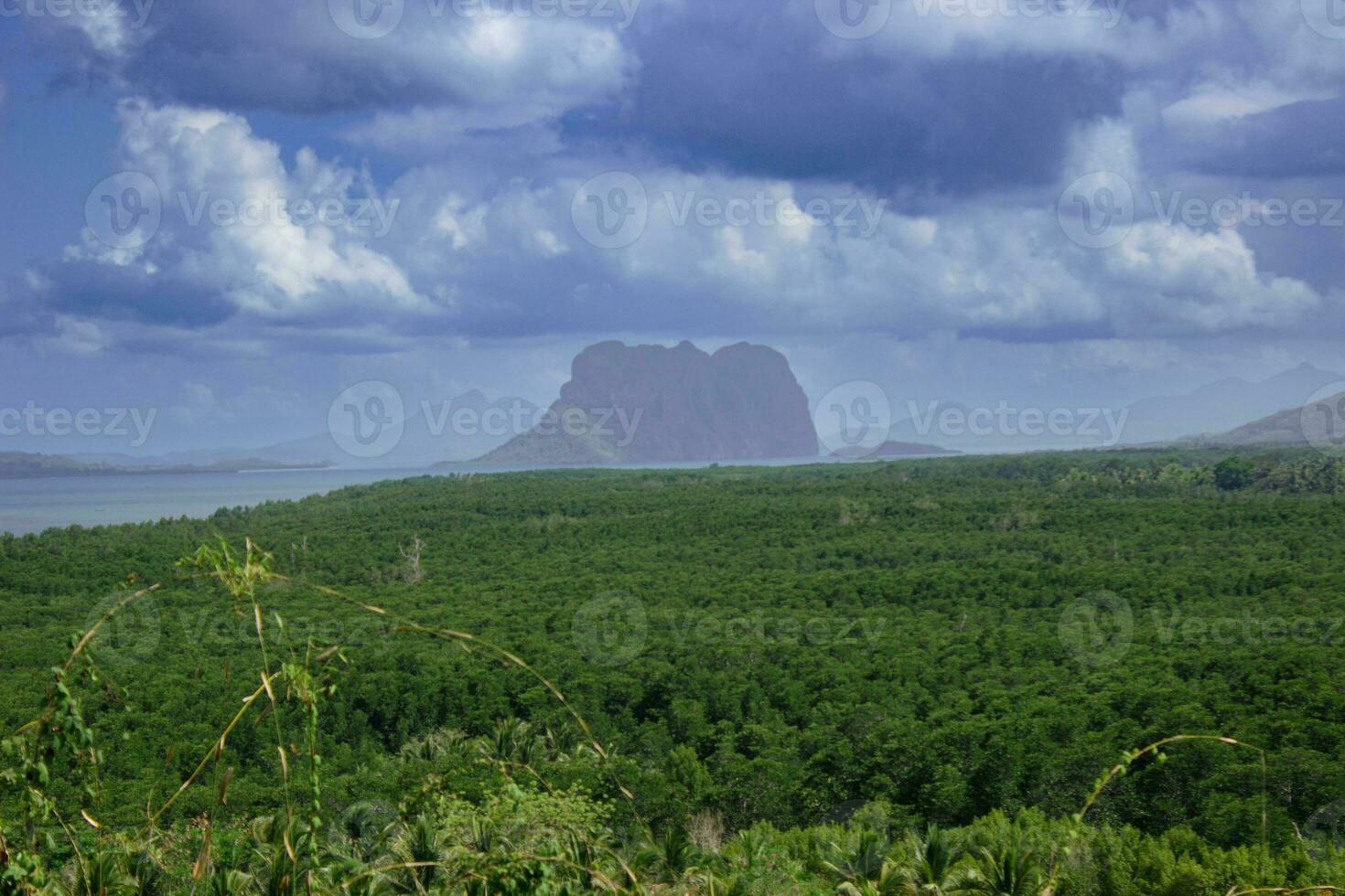 philippine jungle de le Haut de une point de vue photo