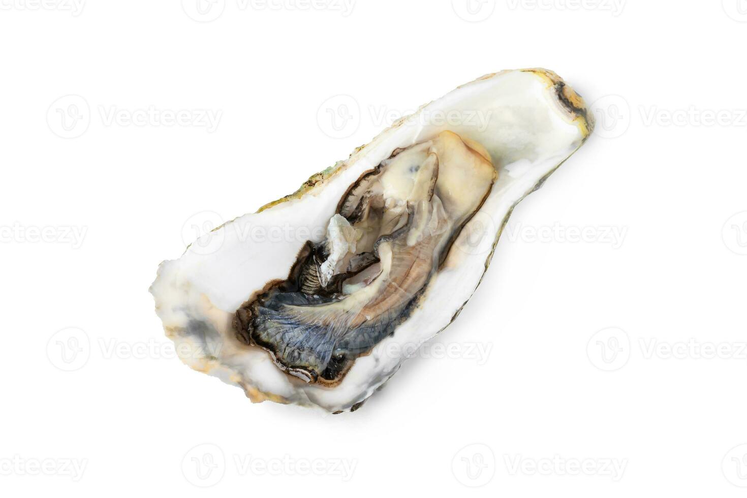 Frais brut huître sur blanc ou invisible png Contexte photo