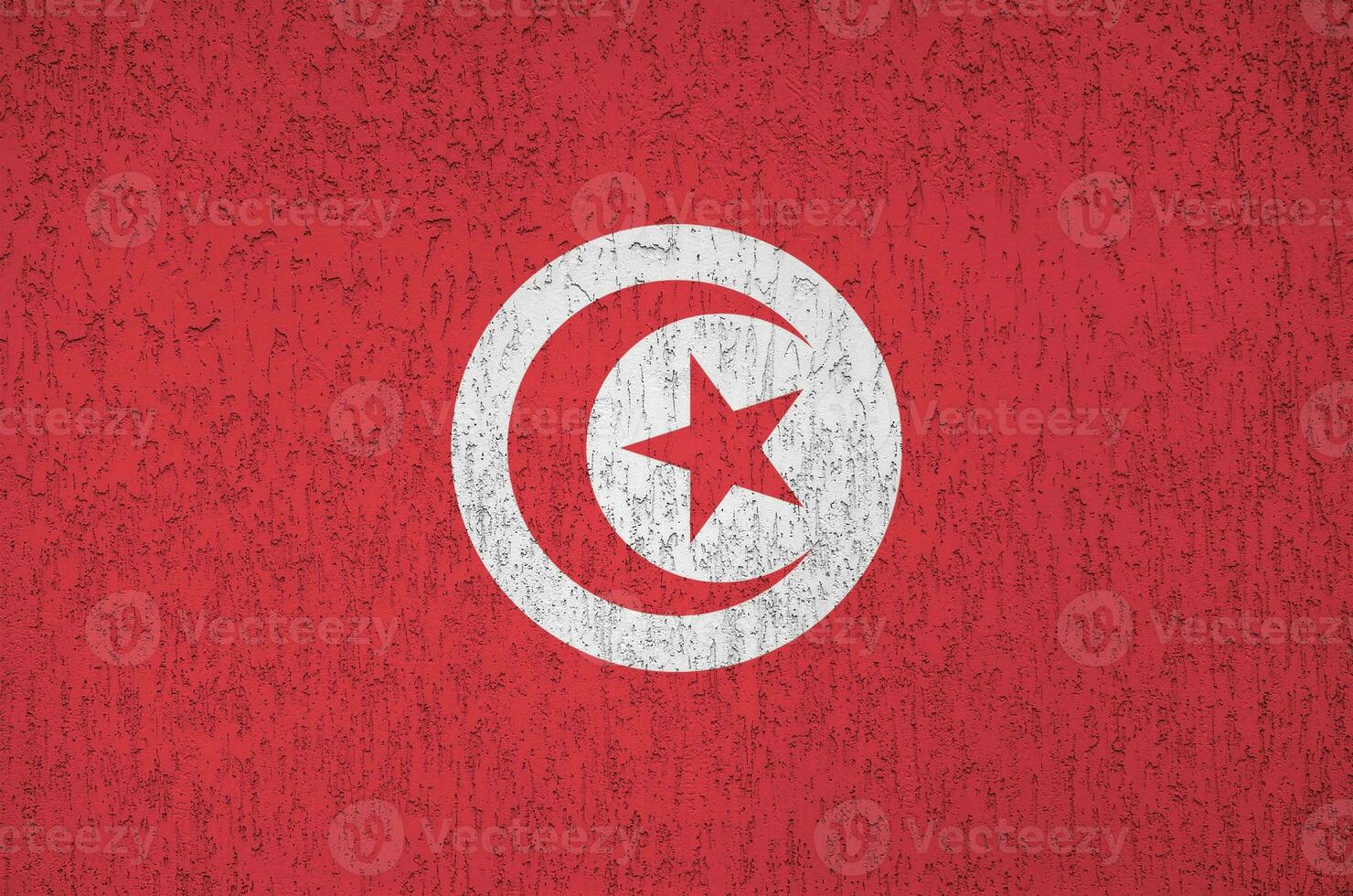 drapeau tunisien représenté dans des couleurs de peinture vives sur un vieux mur de plâtrage en relief. bannière texturée sur fond rugueux photo