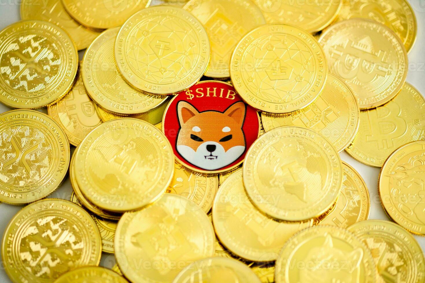 1 shiba pièce de monnaie chib dans le milieu de beaucoup pièces de monnaie. photo