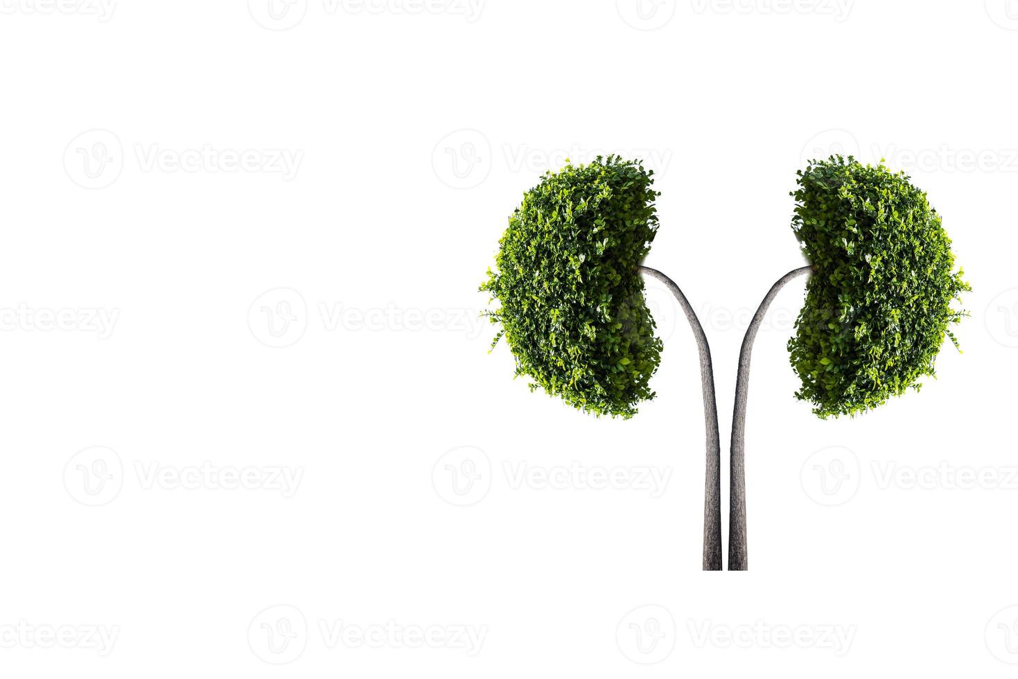 arbres reins 3d concepts environnementaux et médicaux photo