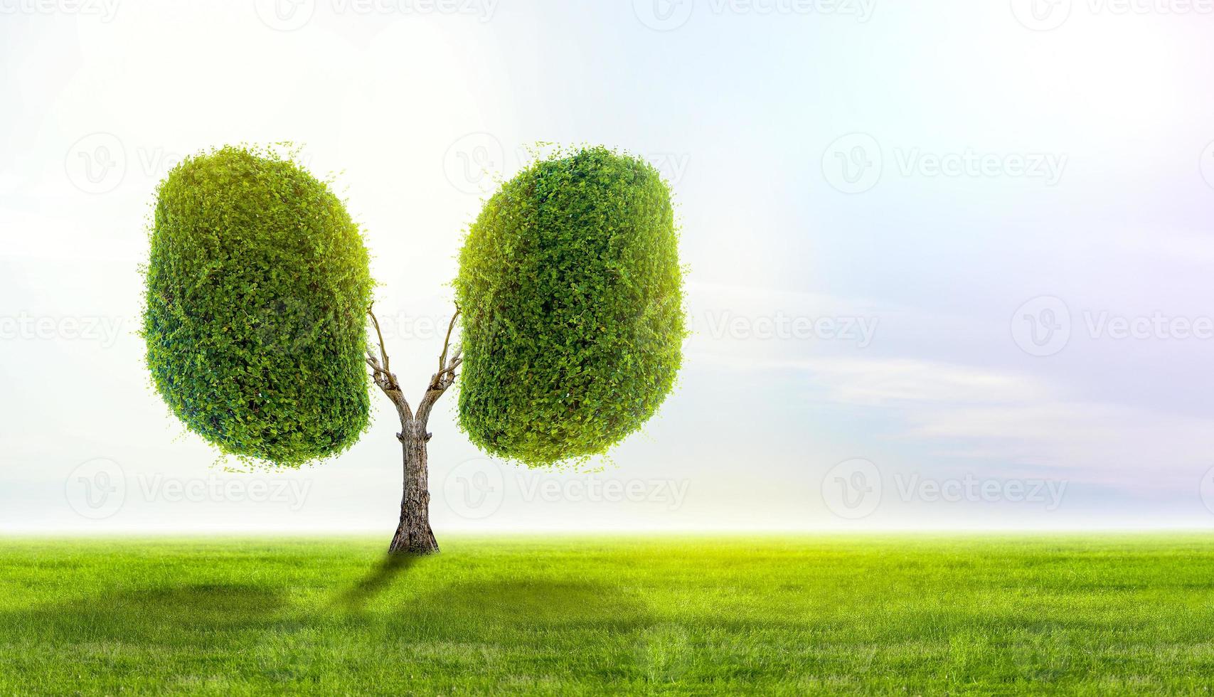 illustration de l'environnement et de la médecine de l'arbre pulmonaire photo