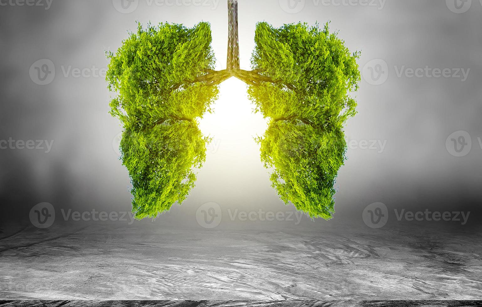 illustration de l'environnement et de la médecine de l'arbre pulmonaire photo