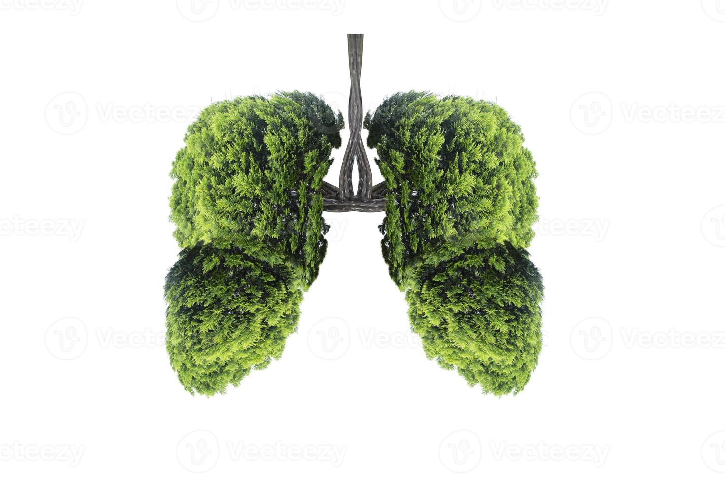 illustration de l'environnement et de la médecine de l'arbre pulmonaire photo