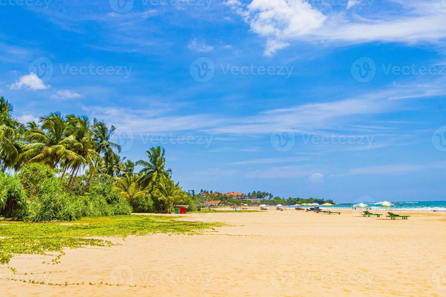 beau panorama de paysage ensoleillé de la plage de bentota au sri lanka. photo