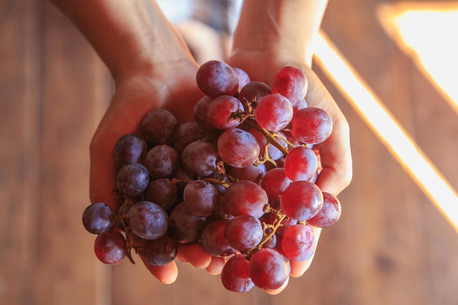 raisins rouges dans la main photo