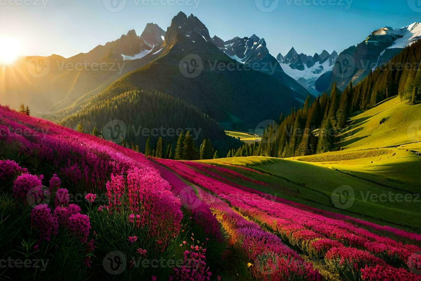 le Soleil monte plus de une champ de rose fleurs dans le montagnes. généré par ai photo
