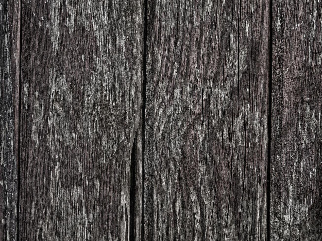 texture bois sombre dans le jardin photo