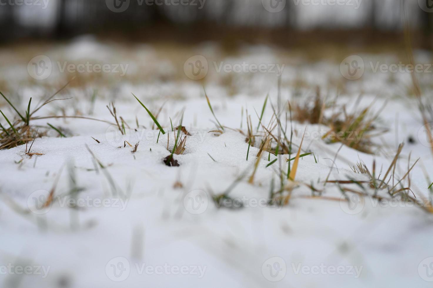 peu de neige hiver petit photo