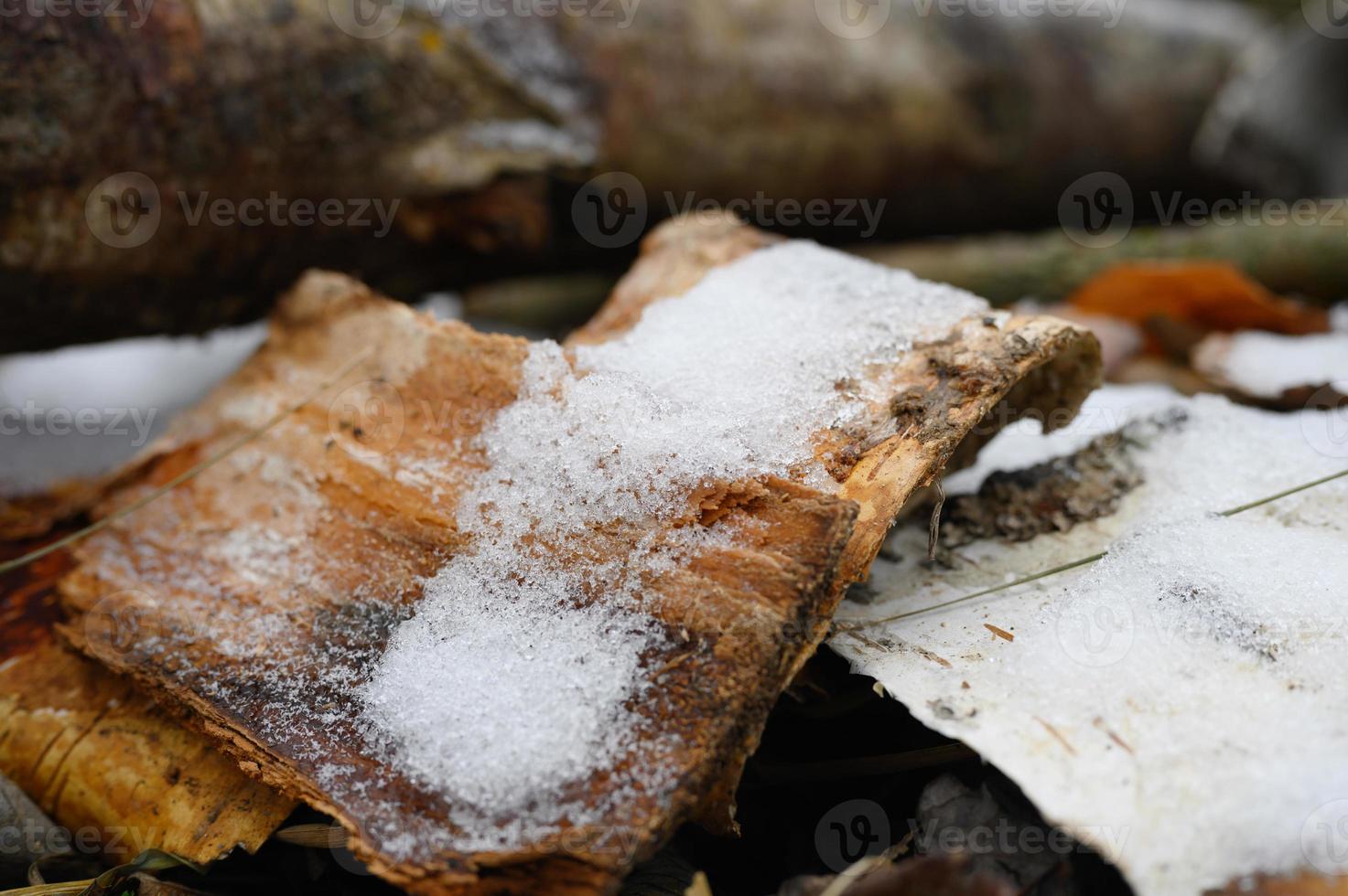 petite neige hiver photo