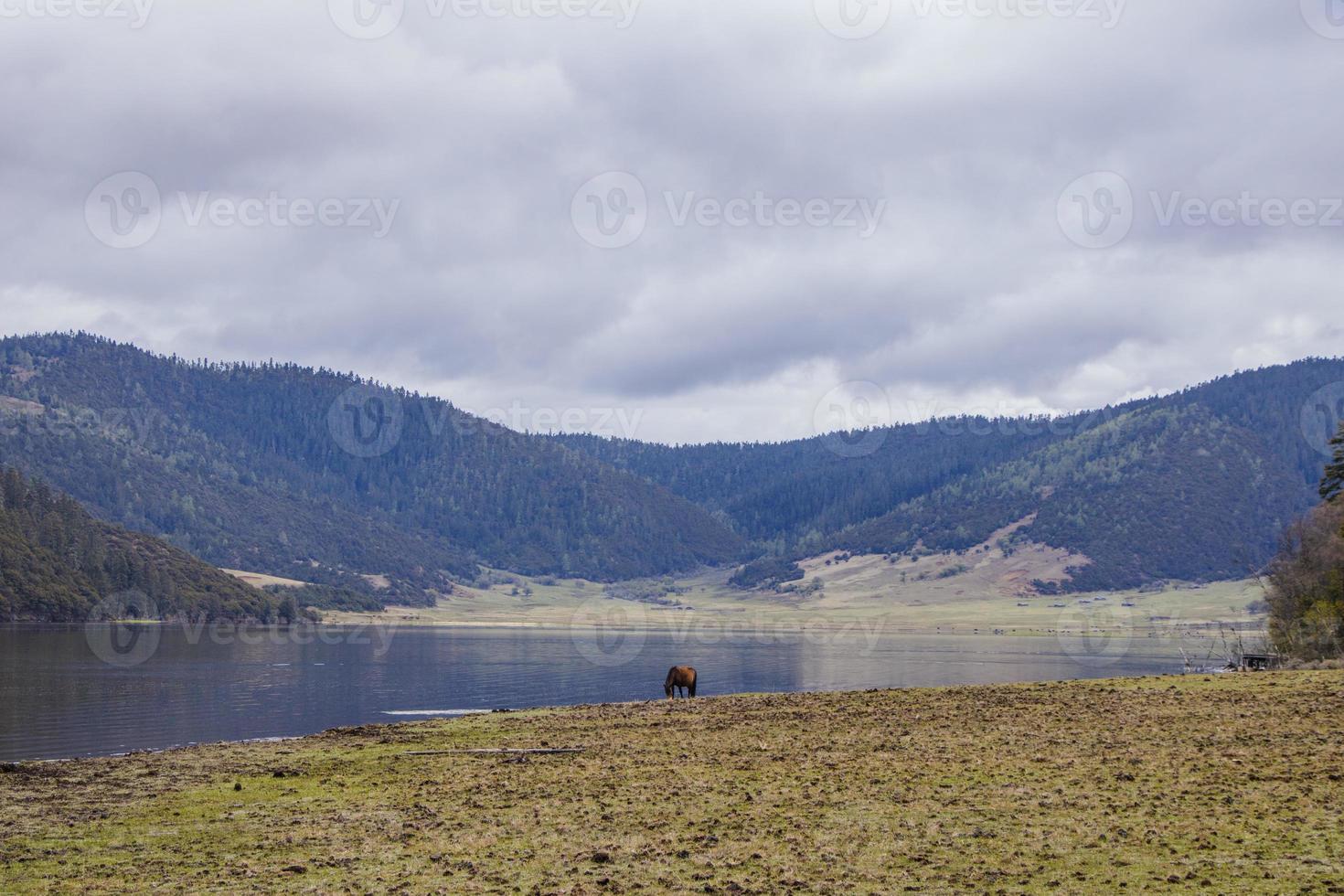 Côté lac de cheval dans le parc national de pudacuo à shangri la yunnan chine photo