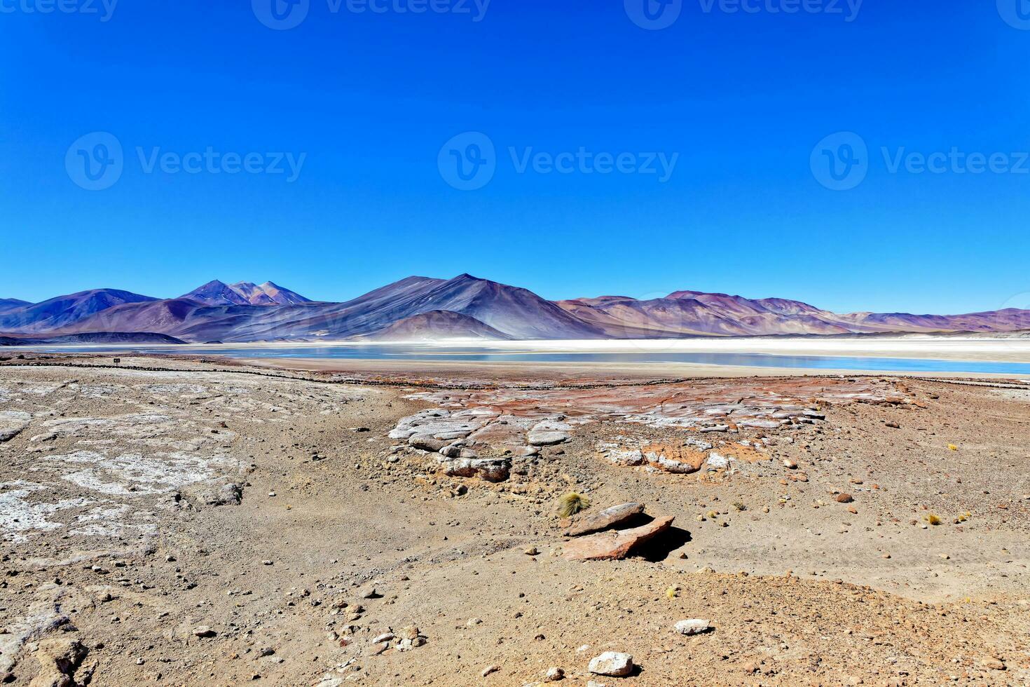 piedras rojas - atacama désert - san pedro de atacama. photo