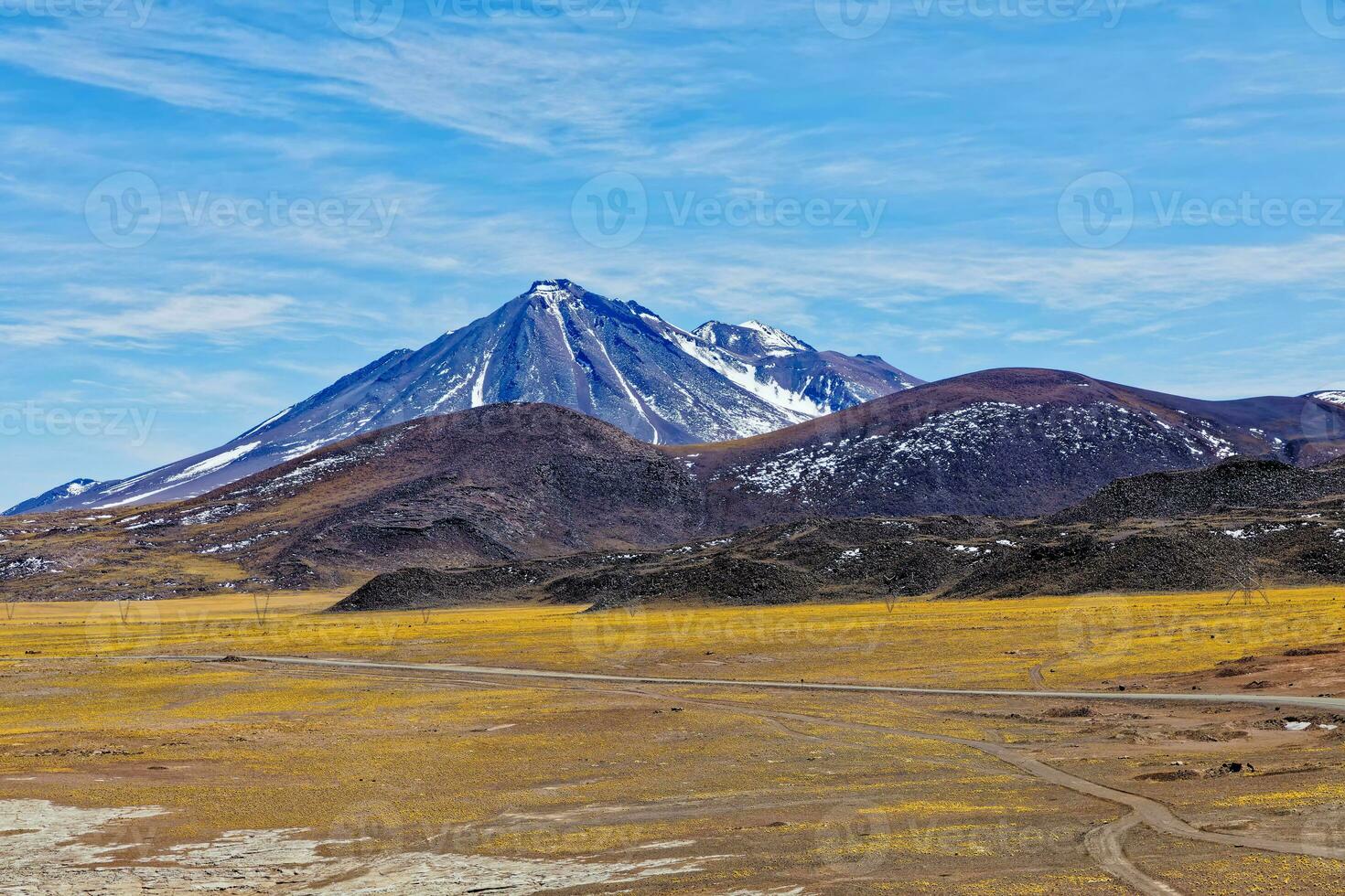 paysages sur le façon à le altiplanique lagunes dans le atacama désert - san pedro de atacama - Chili photo