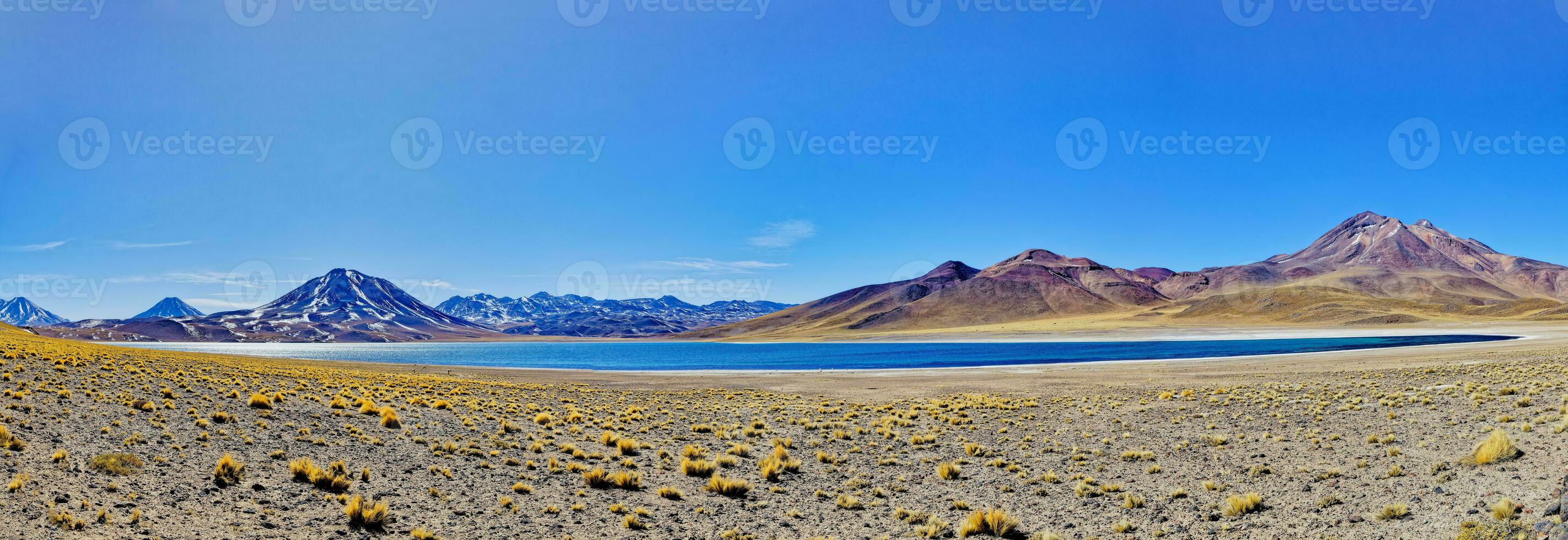 miscanti altiplanique lagune dans le atacama désert - san pedro de atacama. photo