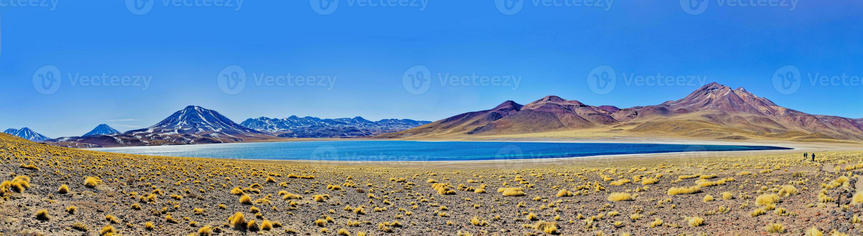 miscanti altiplanique lagune dans le atacama désert - san pedro de atacama. photo