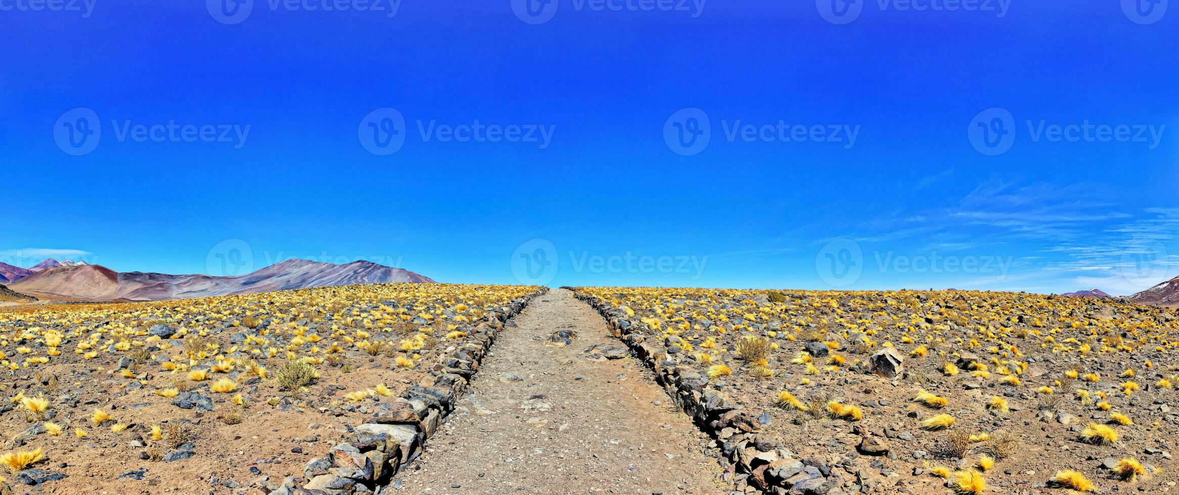 piedras rojas - atacama désert - san pedro de atacama. photo