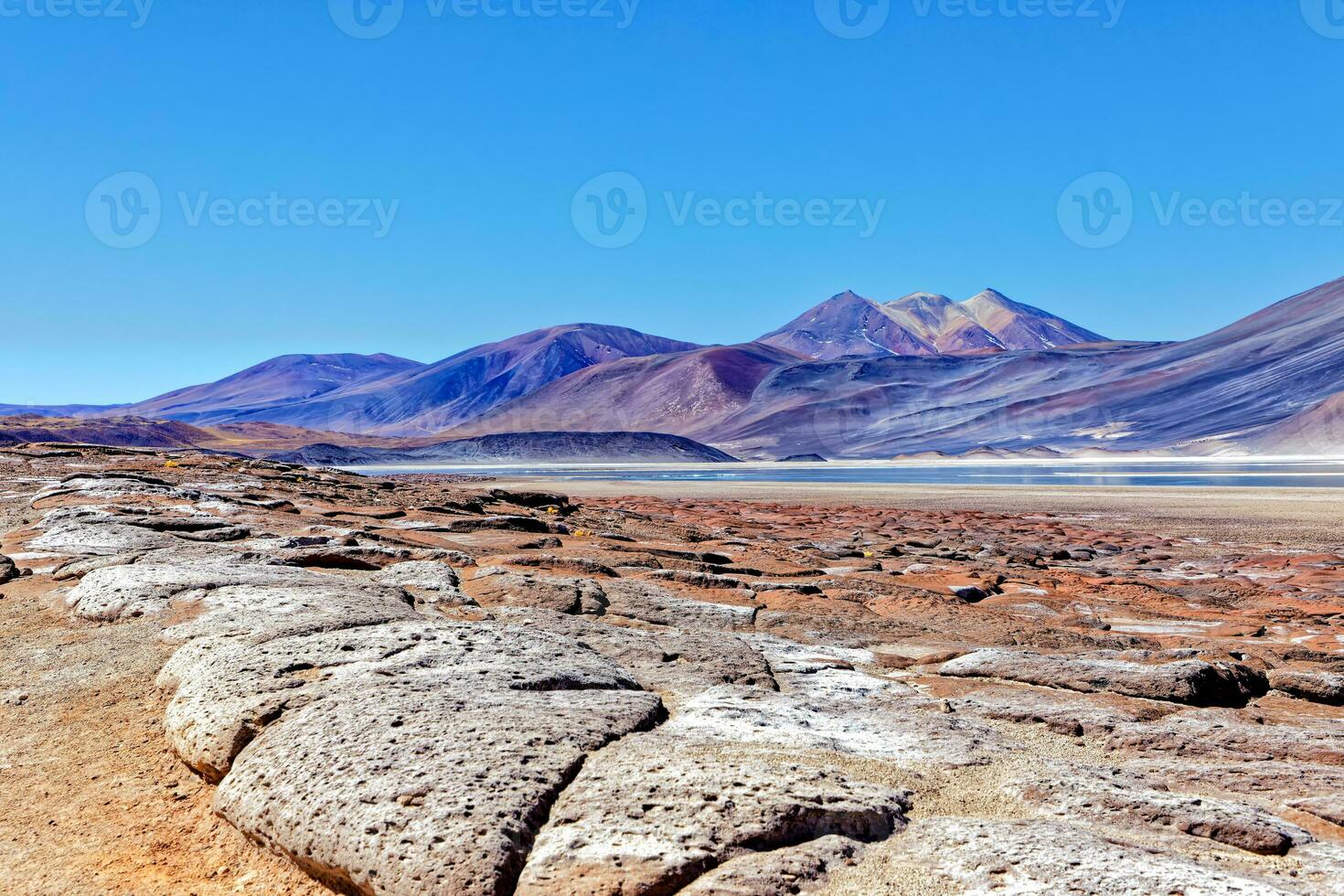 piedras rojas - atacama désert - san pedro de atacama. photo