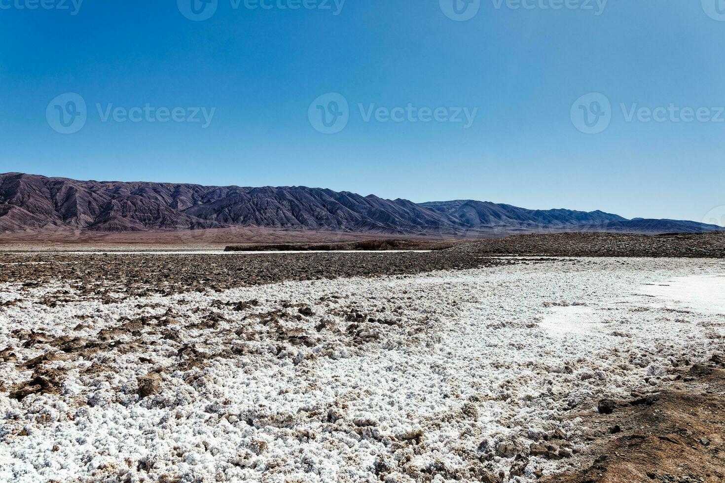 paysage de le caché baltinache lagunes - atacama désert - Chili. photo