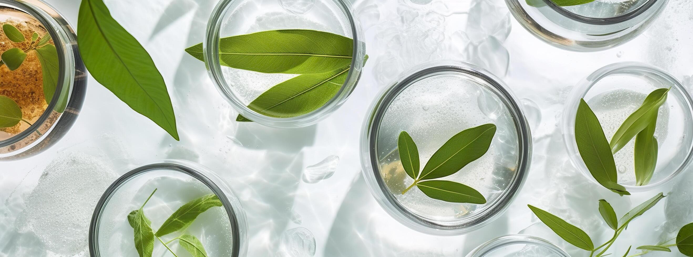 bannière laboratoire verrerie, et pétri vaisselle flottant sur le surface de le l'eau. ai génératif photo