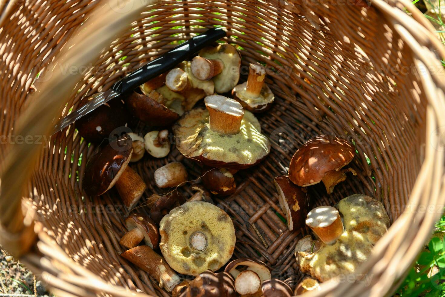 délicieux rabat champignons dans une saule panier photo