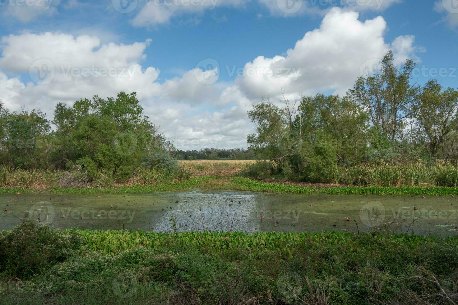 un sec l'automne paysage Suivant une longue été de sécheresse. photo