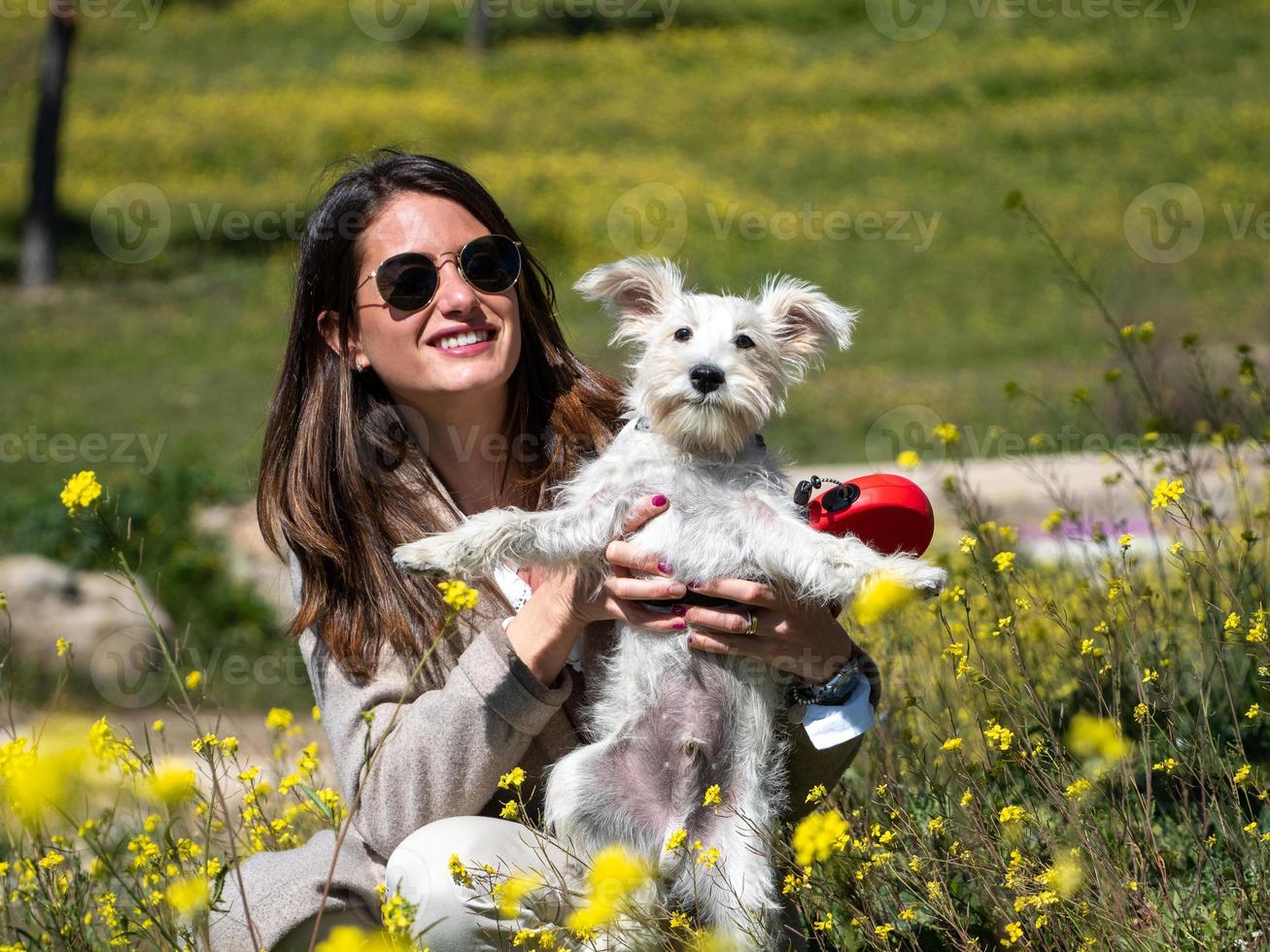 Femme avec chien schnauzer blanc dans un champ de fleurs jaunes photo