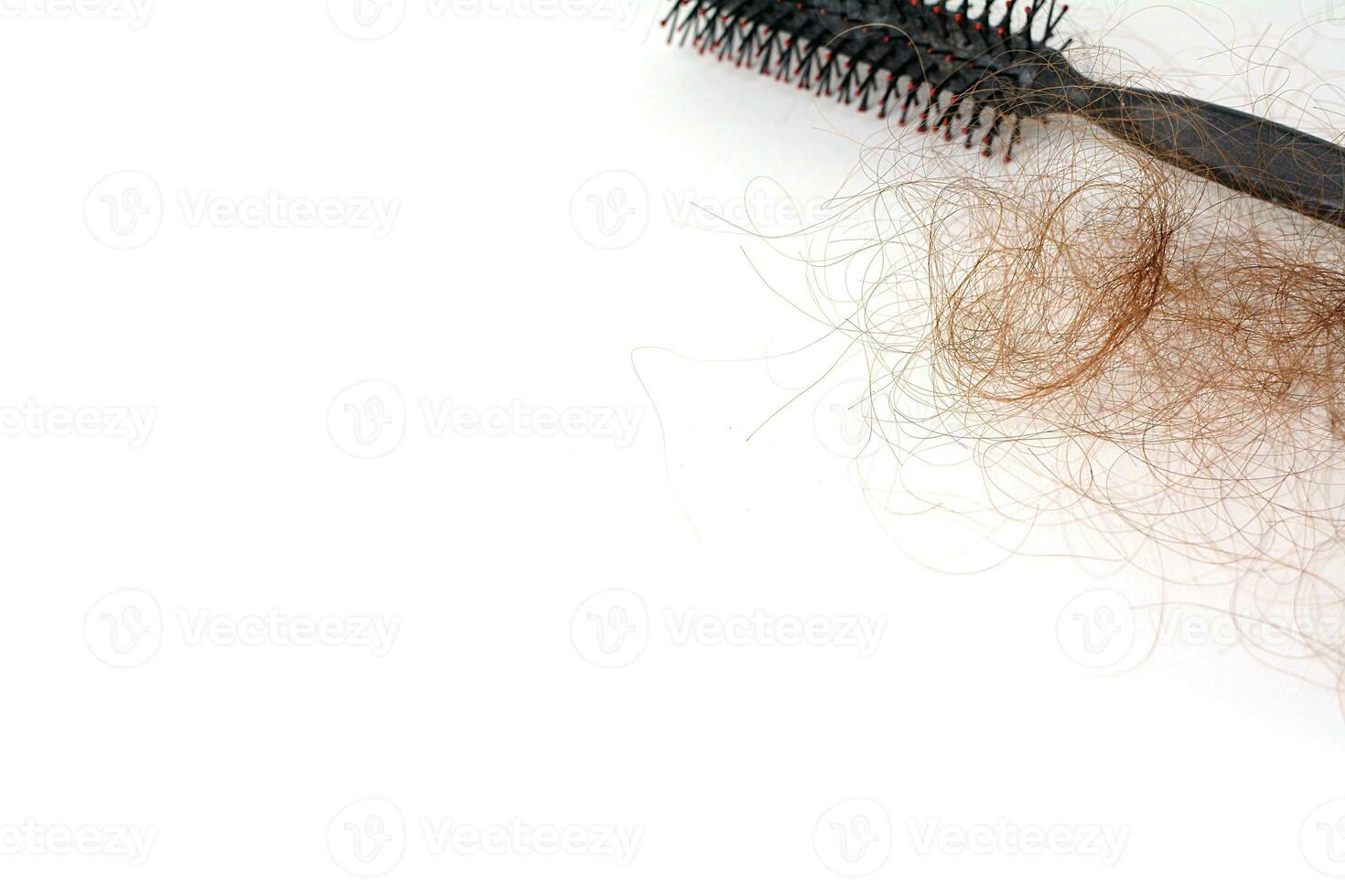 cheveux perte dans peigne, cheveux tomber tous les jours sérieux problème, sur blanc Contexte. photo