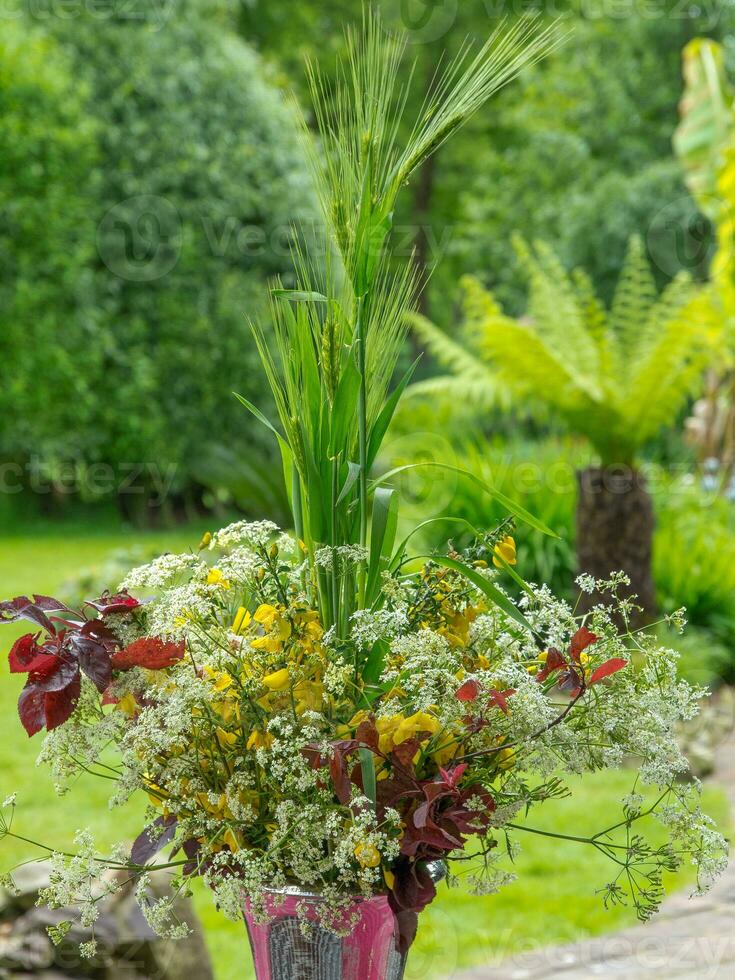 heure d'été dans le jardin photo