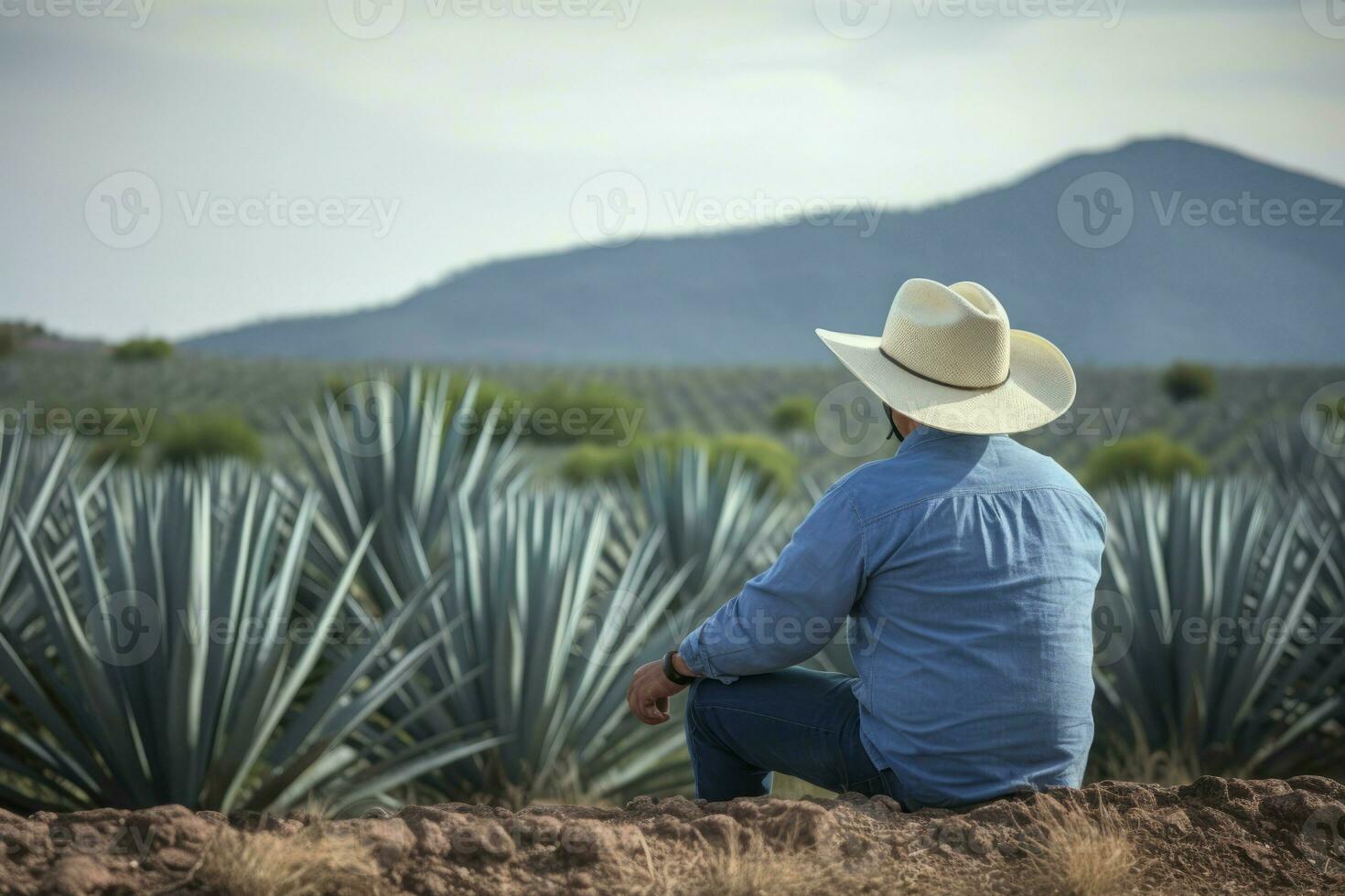 homme cow-boy agave champ. produire ai photo