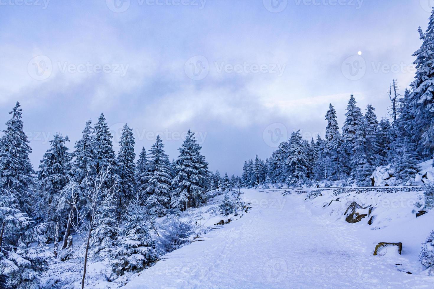 paysage forestier la nuit sapins glacés montagne brocken allemagne. photo