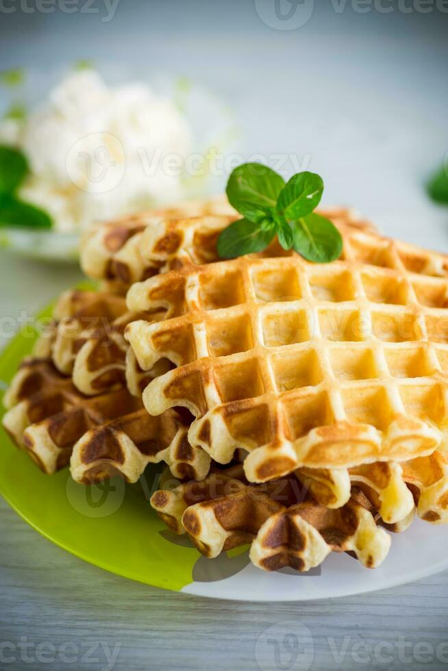 sucré chalet fromage gaufrettes avec une brin de menthe dans une assiette photo