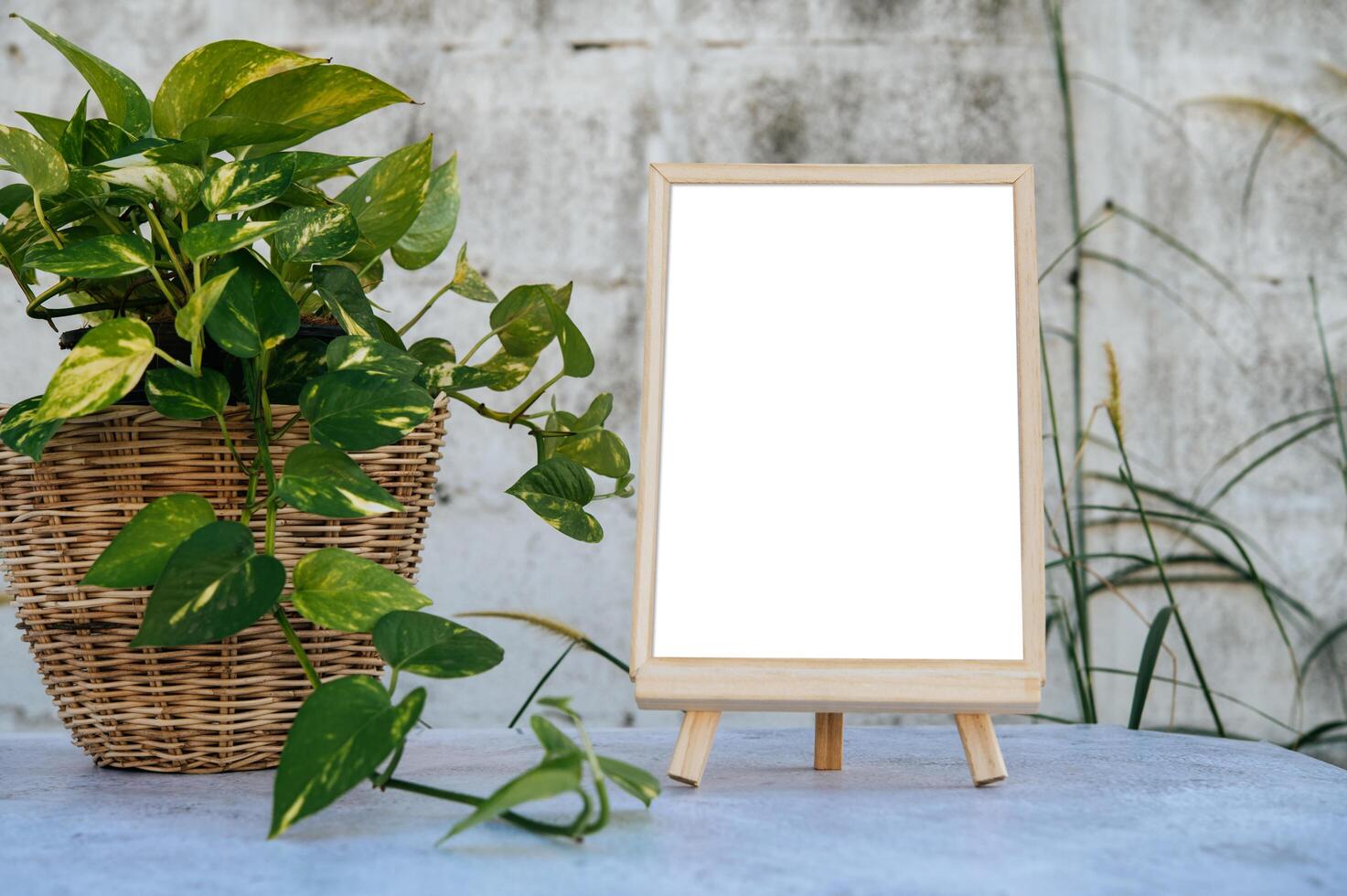 des cadres photo posés sur une table en ciment et de petits arbres sur les côtés.