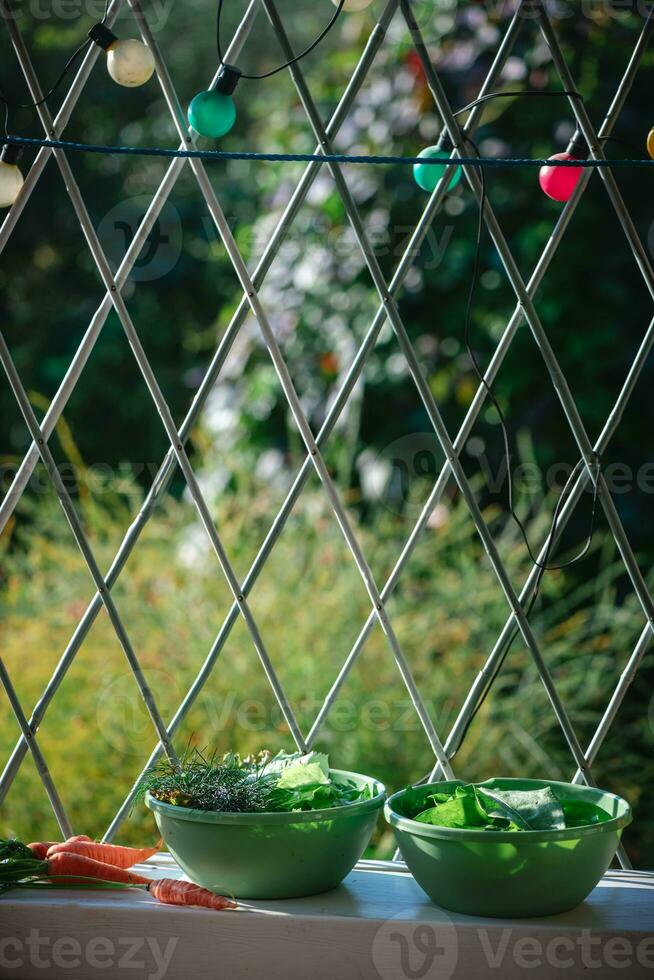 une bol de Frais des légumes et herbes dans le jardin. récolte, vitamines photo