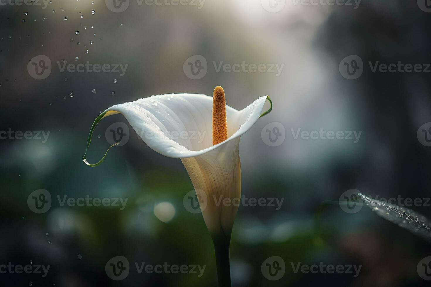 calla lis fleurs dans botanique jardin. neural réseau ai généré photo