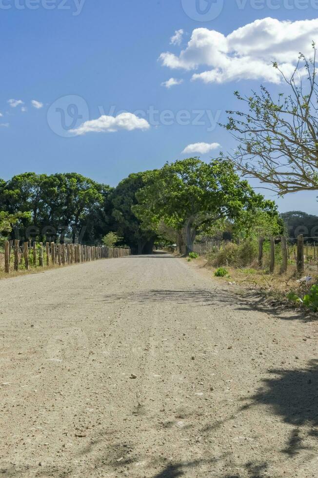 une route entouré par des arbres avec des nuages et bleu ciel, une route entouré par des arbres sur une ensoleillé journée avec copie espace photo