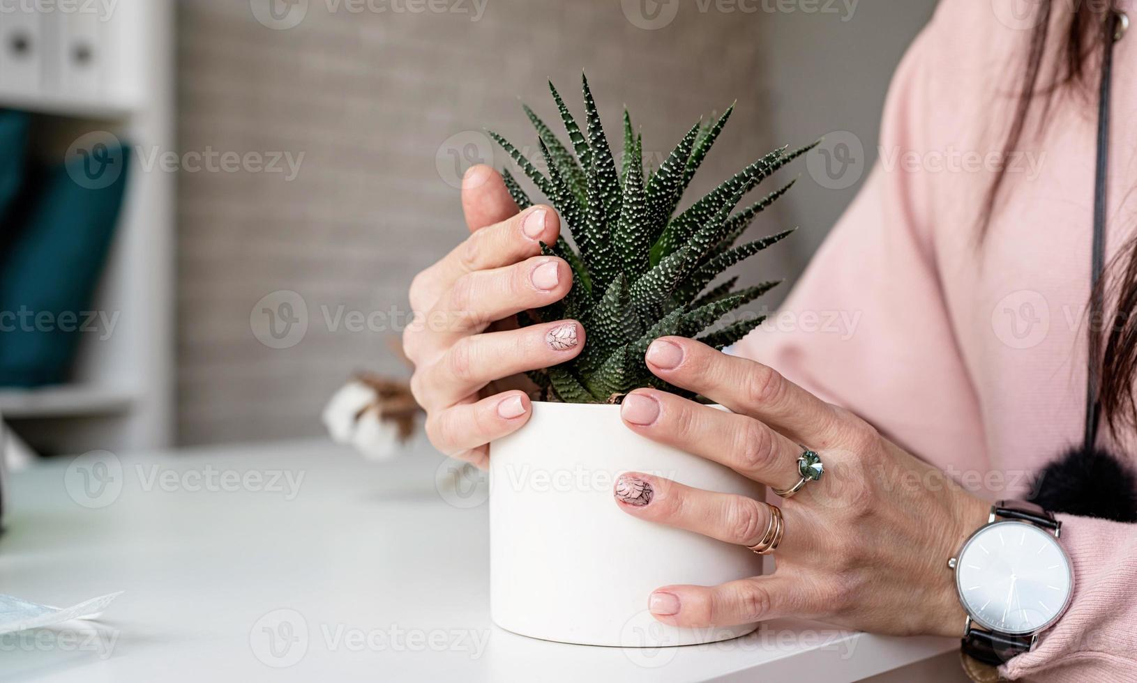 main féminine avec une manucure fraîche tenant une plante en pot succulente photo