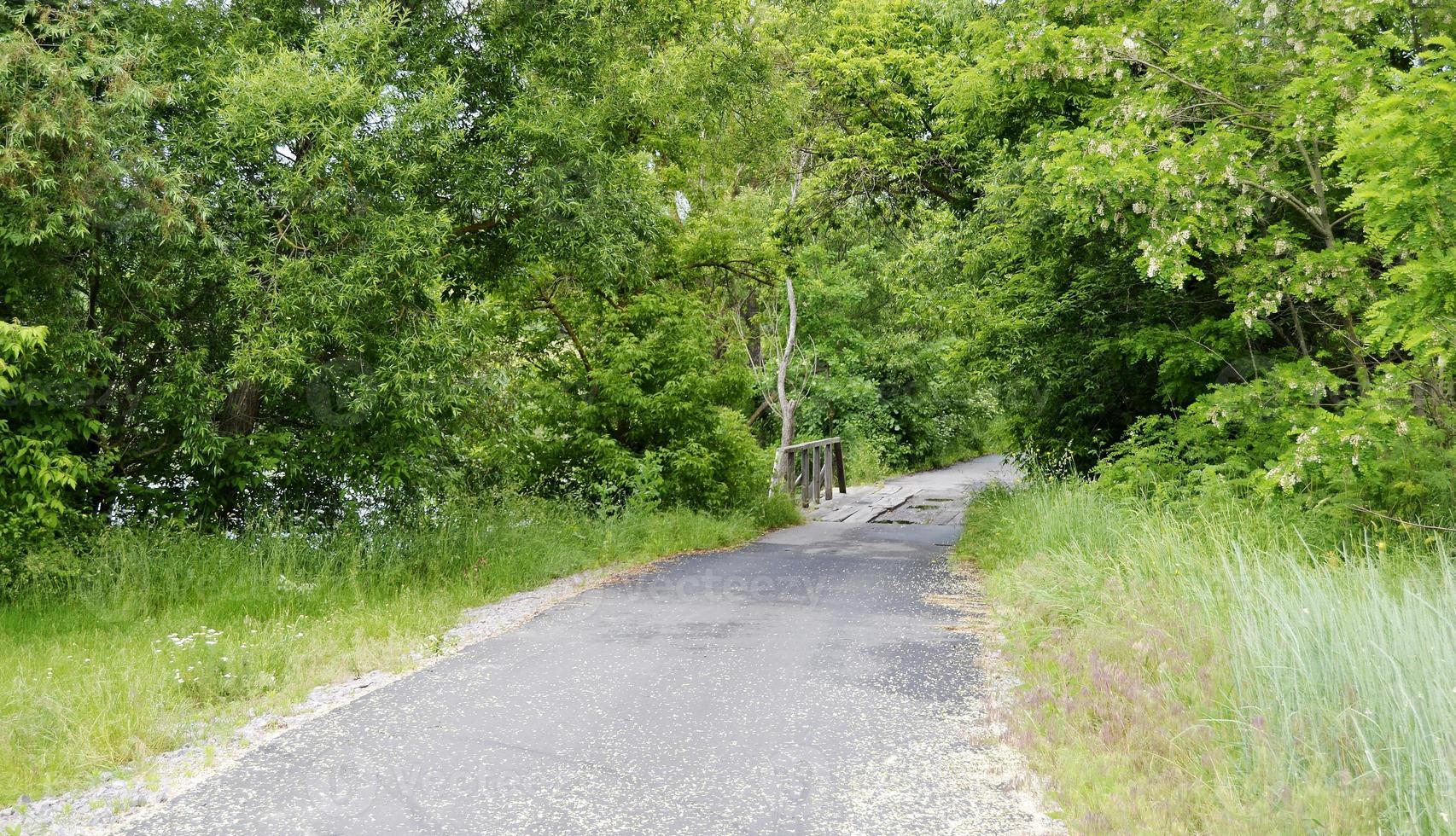 Vieux pont de bois debout sur la rivière en arrière-plan coloré photo