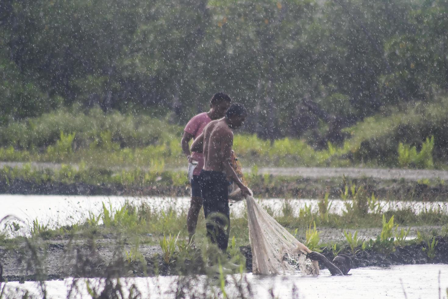 sorong, indonésie 2021- pêcheurs d'étang photo
