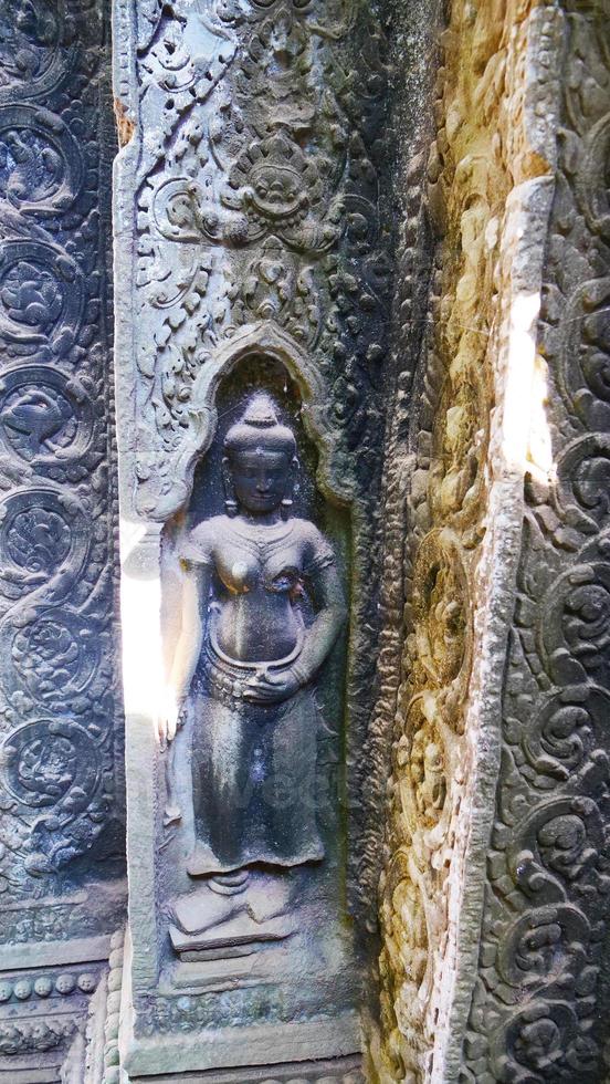 sculpture sur pierre au temple de ta prohm, siem reap cambodge. photo