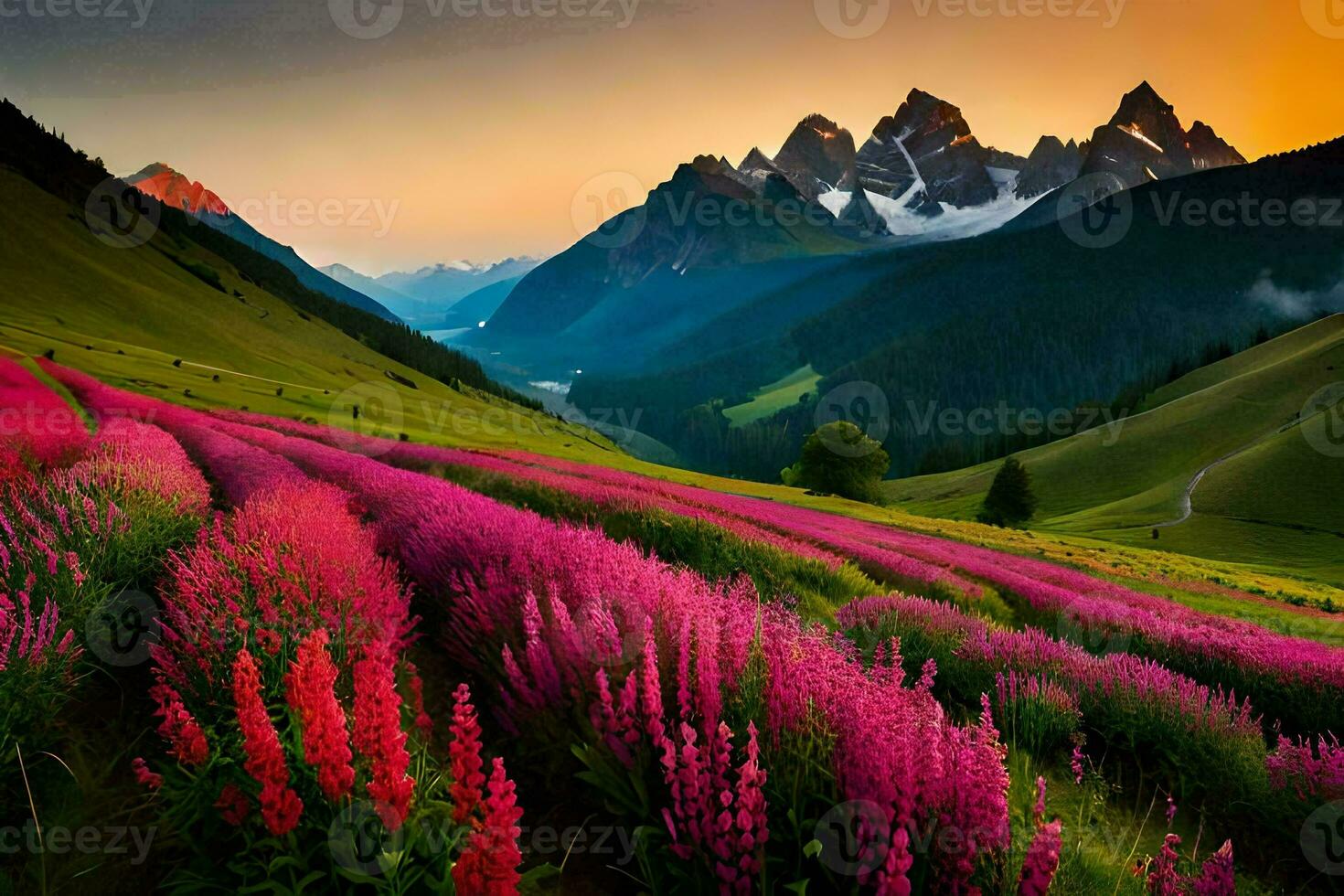 une magnifique champ de rose fleurs dans le montagnes. généré par ai photo