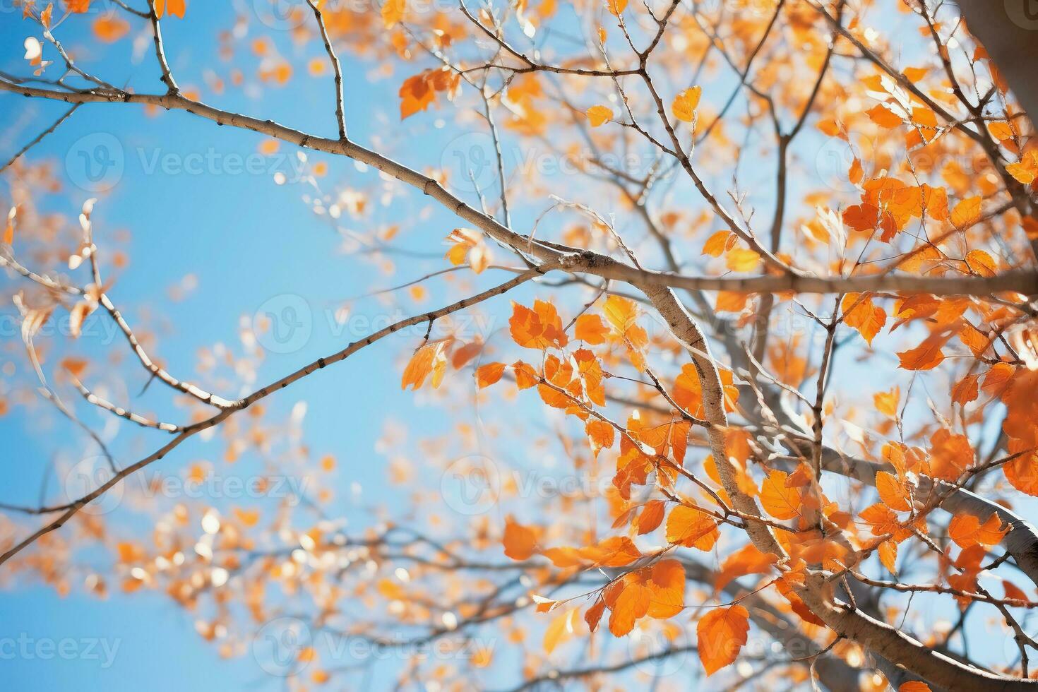 des arbres dans l'automne parc de dessous, Jaune hauts de des arbres, bleu ciel Contexte ai génératif photo