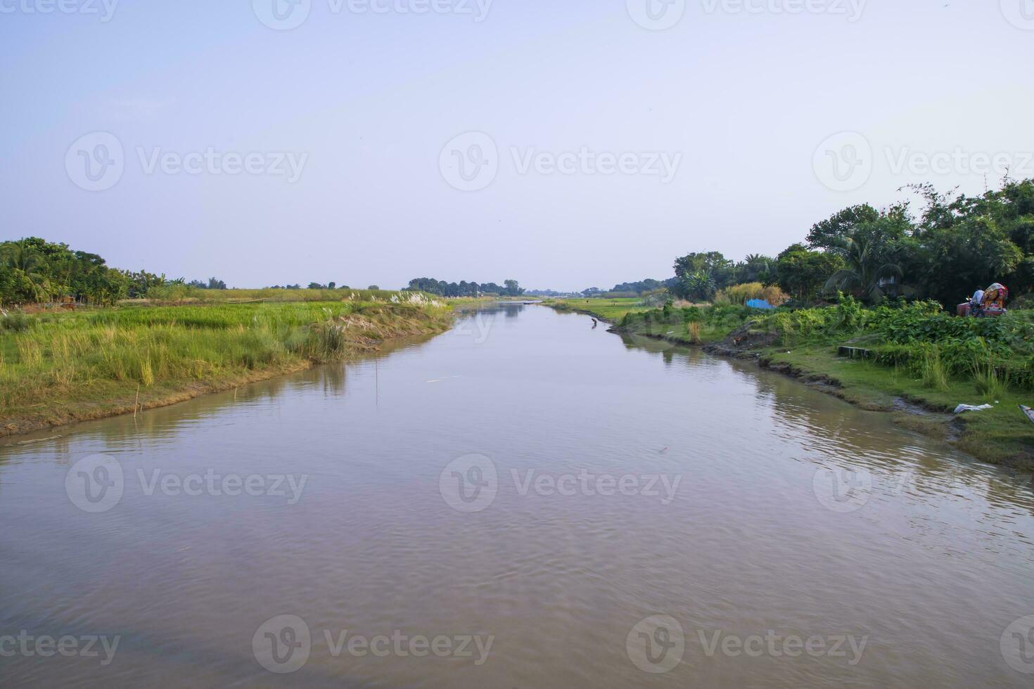 canal avec vert herbe et végétation réfléchi dans le l'eau près padma rivière dans bangladesh photo