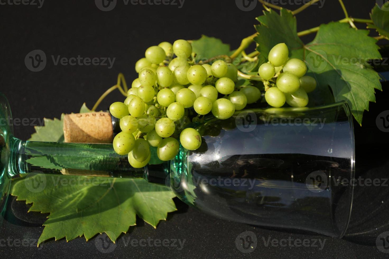 raisins blancs et feuilles photo