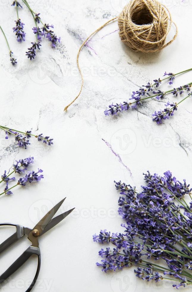 fleurs de lavande, ciseaux et corde photo