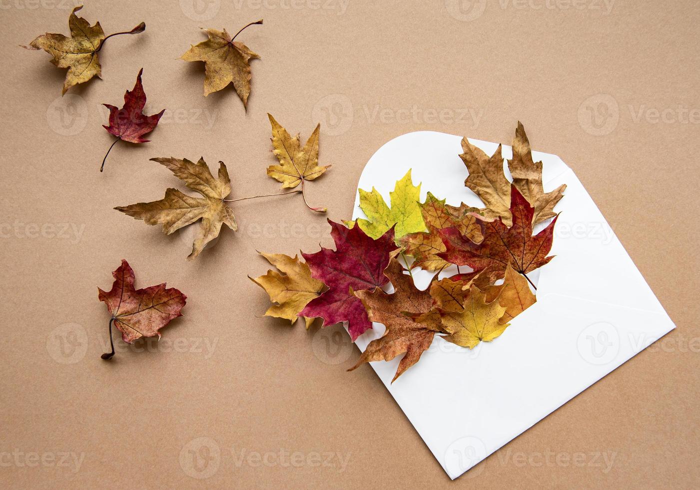 enveloppe avec des feuilles séchées sur fond marron pastel photo