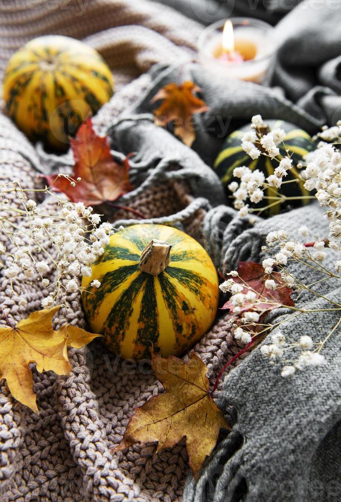 citrouilles d'automne, écharpe tricotée, feuilles d'érable et bougie. photo